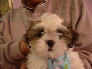 imgp1171