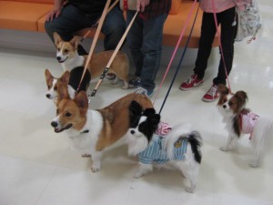 img_2206