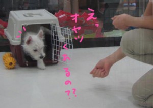 img_1968