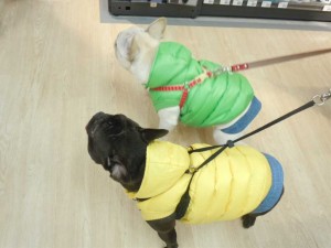 dscn05391