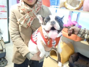 dscn054211
