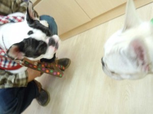 dscn05521