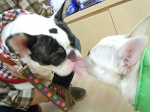 dscn055411