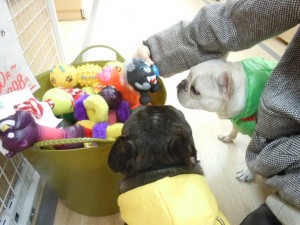 dscn05671