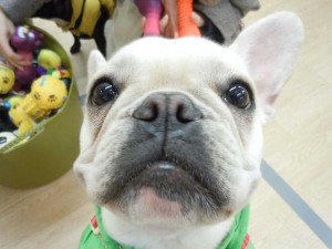 dscn05701