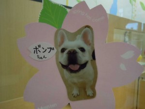 dscn1311