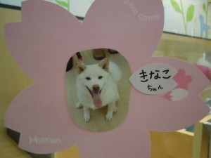 dscn1313