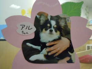 dscn1316