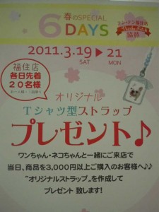 dscn16201