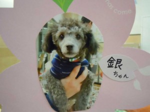 dscn1624