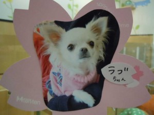 dscn1625