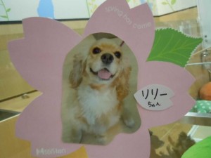 dscn1626