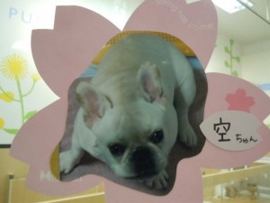 dscn16281
