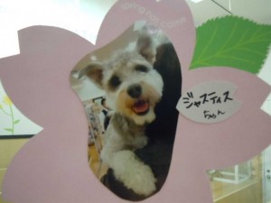 dscn1629