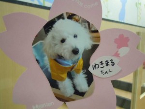 dscn1632
