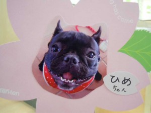 dscn1633