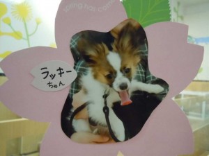 dscn1634