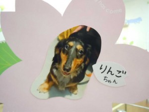 dscn1636
