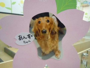 dscn1637
