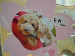 dscn1643