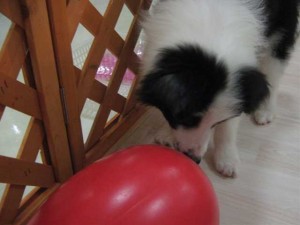 img_22011