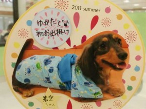 cimg0037