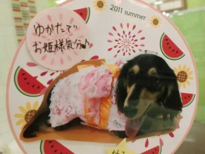 cimg0038