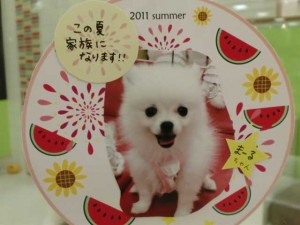 cimg00391