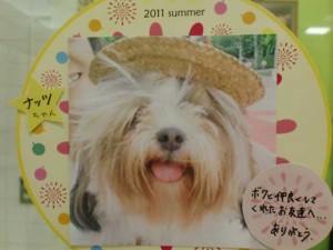 cimg0041