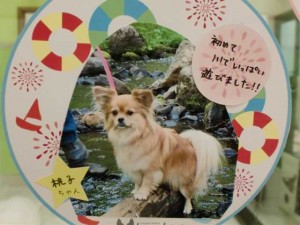 cimg0046