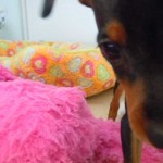 DSCN0661