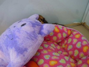 DSCN0695