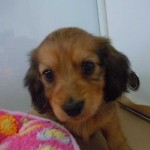 DSCN0697