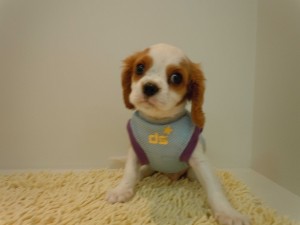 DSCN3659