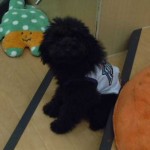 DSCN0727