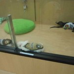 DSCN0736