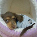 DSCN0746