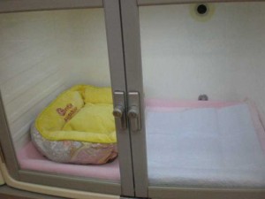 写真 3307