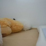 DSCN1401
