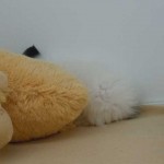 DSCN1402