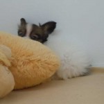 DSCN1403