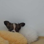 DSCN1404