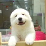 DSCN1476
