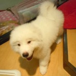 DSCN1485