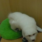 DSCN1492