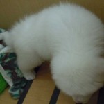 DSCN1493