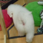 DSCN1494