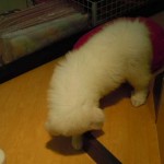 DSCN1495