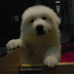 DSCN1496
