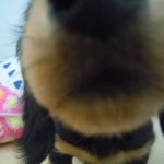 DSCN2495